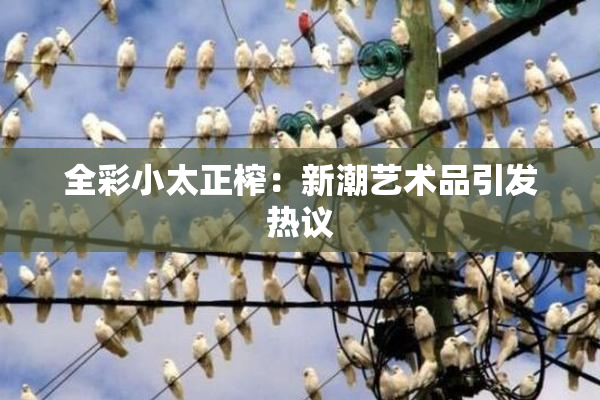 全彩小太正榨：新潮艺术品引发热议