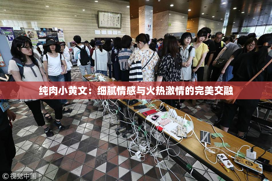 纯肉小黄文：细腻情感与火热激情的完美交融