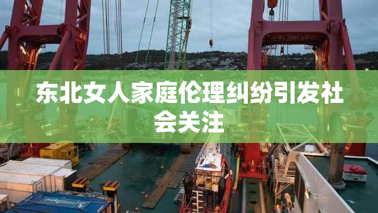 东北女人家庭伦理纠纷引发社会关注