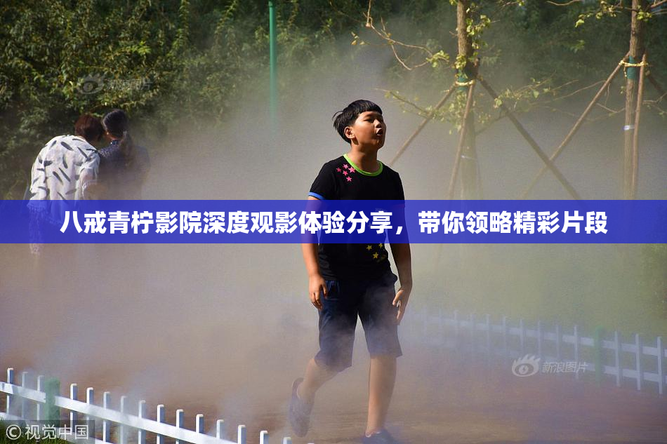 八戒青柠影院深度观影体验分享，带你领略精彩片段