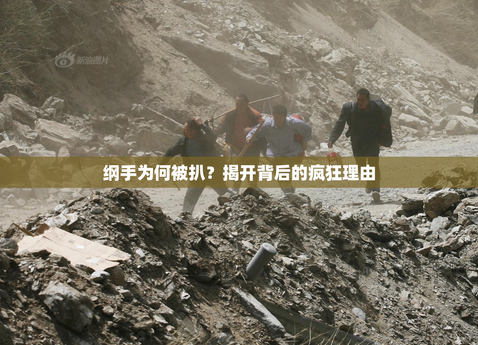纲手为何被扒？揭开背后的疯狂理由