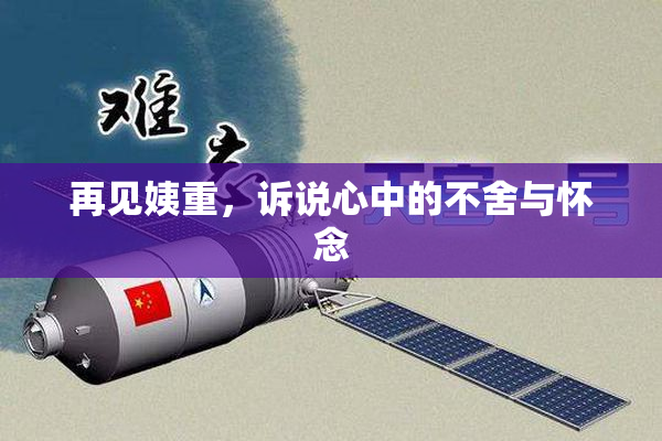再见姨重，诉说心中的不舍与怀念