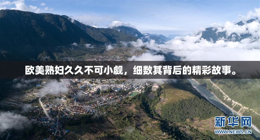 欧美熟妇久久不可小觑，细数其背后的精彩故事。