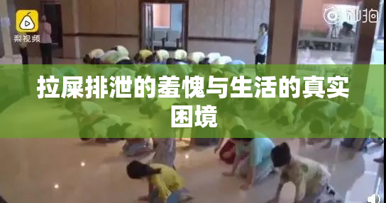 拉屎排泄的羞愧与生活的真实困境