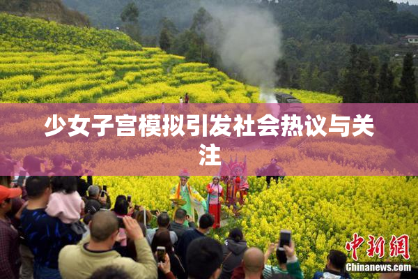 少女子宫模拟引发社会热议与关注