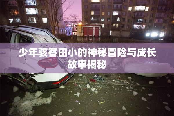 少年骇客田小的神秘冒险与成长故事揭秘