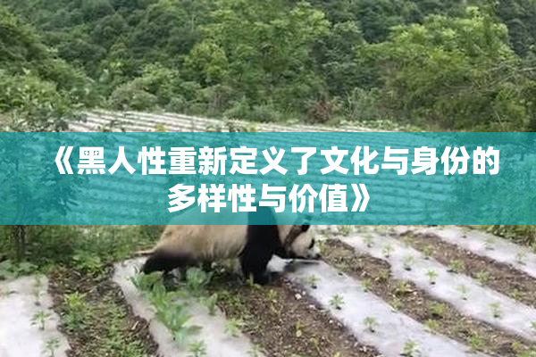 《黑人性重新定义了文化与身份的多样性与价值》