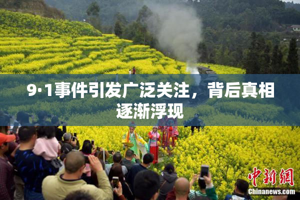 9·1事件引发广泛关注，背后真相逐渐浮现