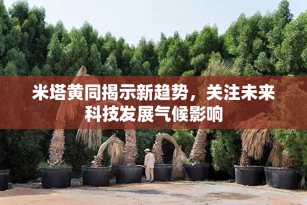 米塔黄同揭示新趋势，关注未来科技发展气候影响