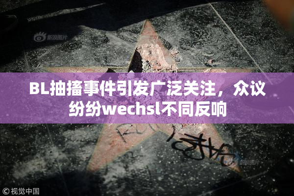 BL抽搐事件引发广泛关注，众议纷纷wechsl不同反响