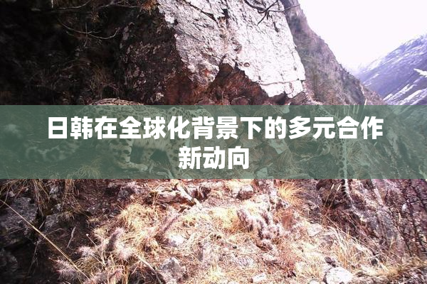 日韩在全球化背景下的多元合作新动向
