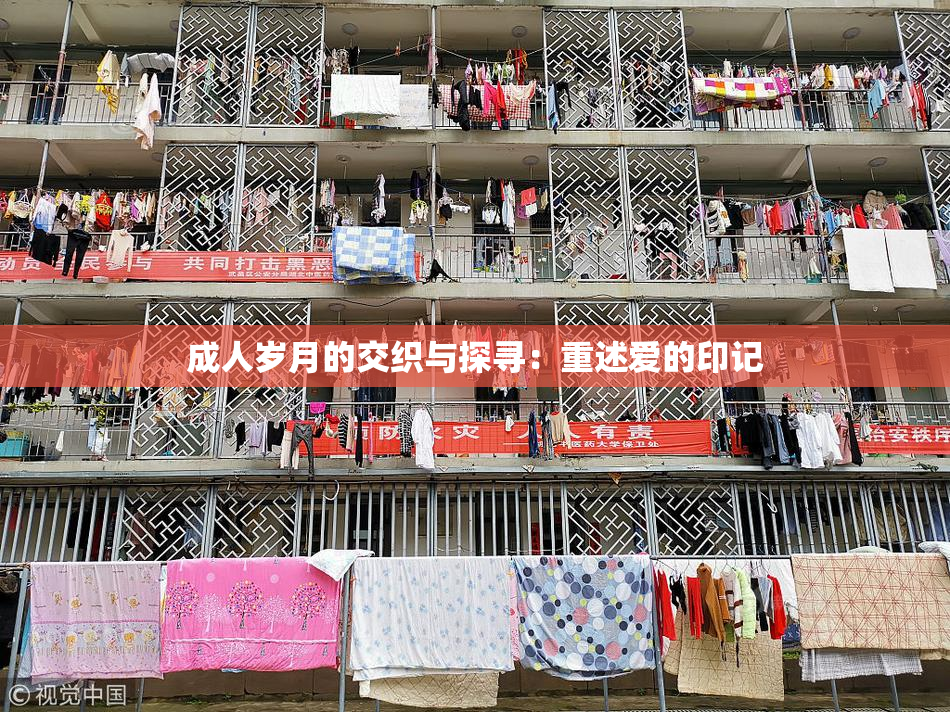 成人岁月的交织与探寻：重述爱的印记