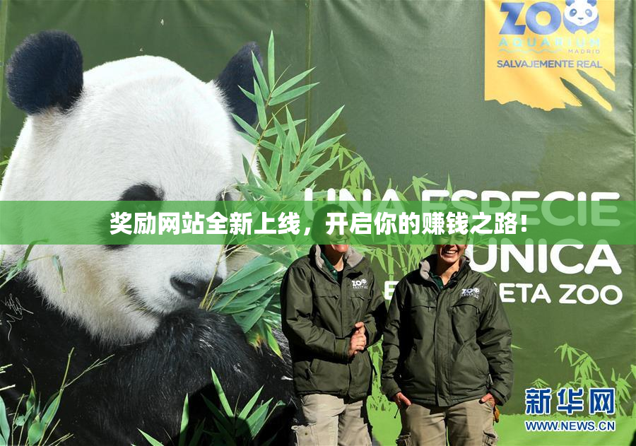 奖励网站全新上线，开启你的赚钱之路！