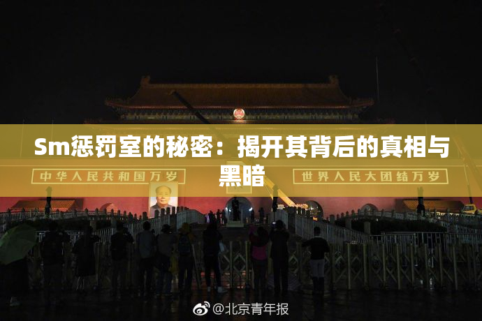 Sm惩罚室的秘密：揭开其背后的真相与黑暗