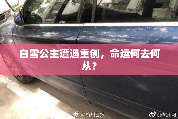 白雪公主遭遇重创，命运何去何从？