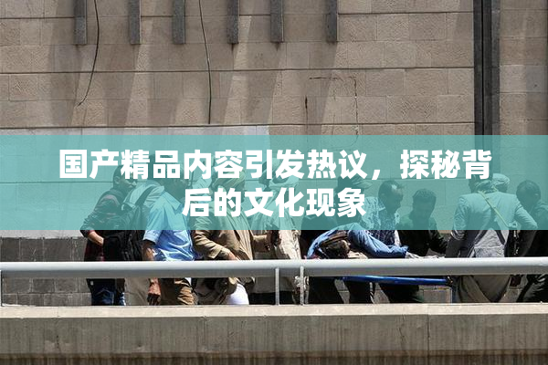 国产精品内容引发热议，探秘背后的文化现象