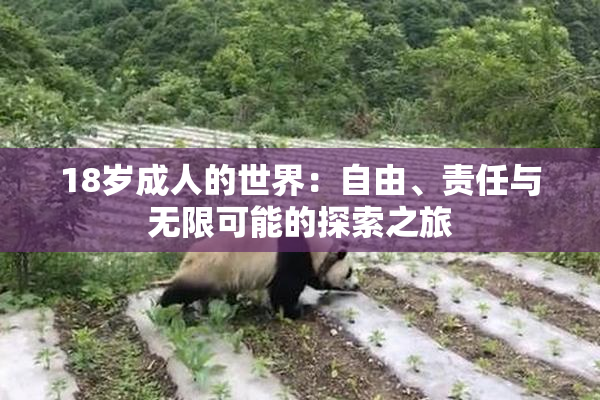 18岁成人的世界：自由、责任与无限可能的探索之旅