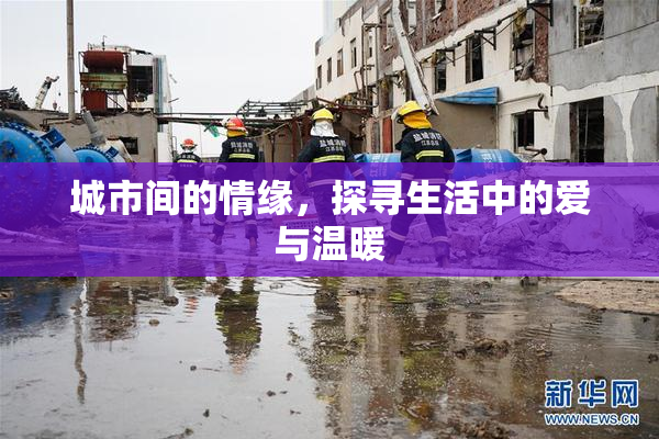 城市间的情缘，探寻生活中的爱与温暖