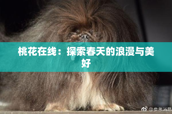 桃花在线：探索春天的浪漫与美好