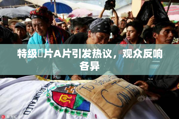 特级婬片A片引发热议，观众反响各异
