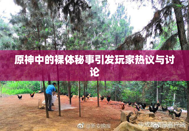 原神中的裸体秘事引发玩家热议与讨论