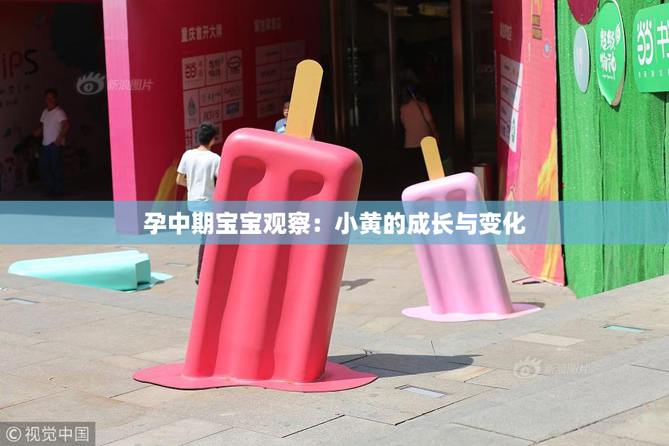 孕中期宝宝观察：小黄的成长与变化