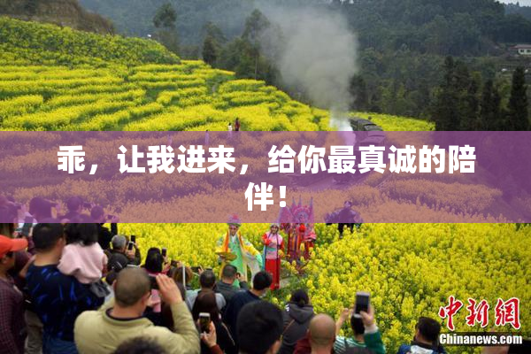 乖，让我进来，给你最真诚的陪伴！