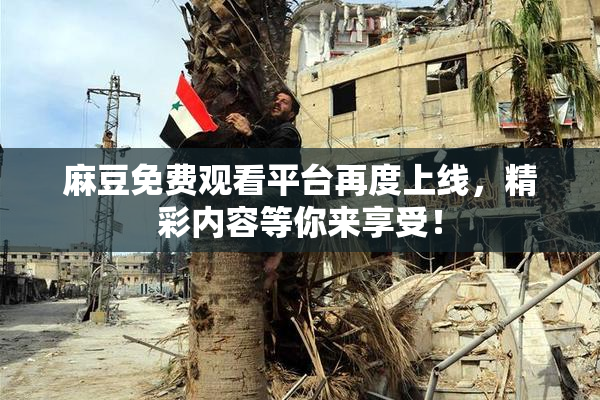 麻豆免费观看平台再度上线，精彩内容等你来享受！
