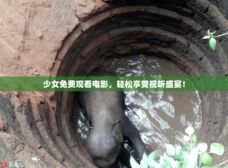 少女免费观看电影，轻松享受视听盛宴！