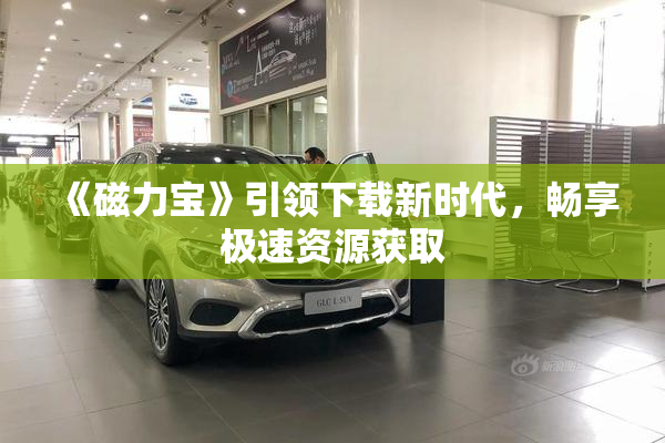 《磁力宝》引领下载新时代，畅享极速资源获取