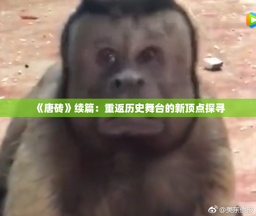 《唐砖》续篇：重返历史舞台的新顶点探寻