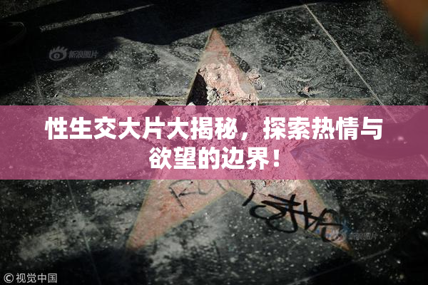 性生交大片大揭秘，探索热情与欲望的边界！