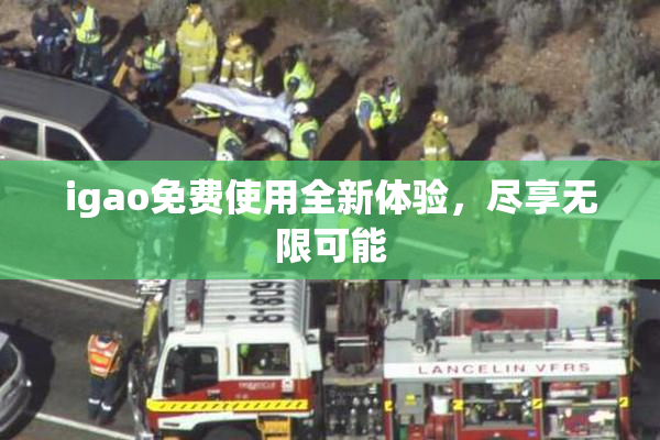 igao免费使用全新体验，尽享无限可能