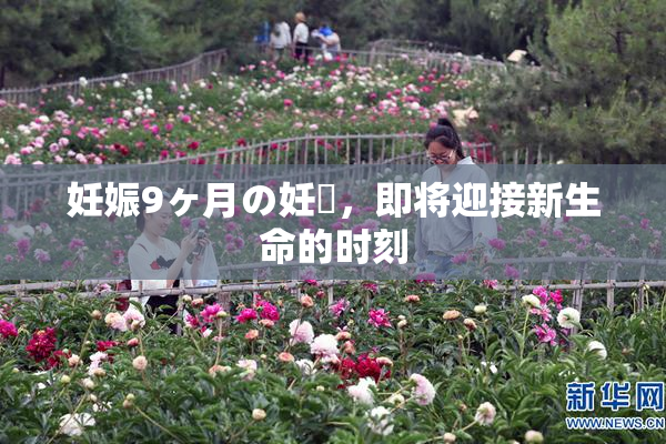 妊娠9ヶ月の妊婦，即将迎接新生命的时刻