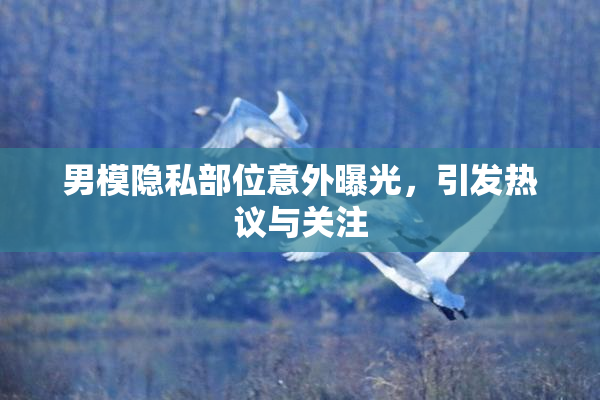 男模隐私部位意外曝光，引发热议与关注