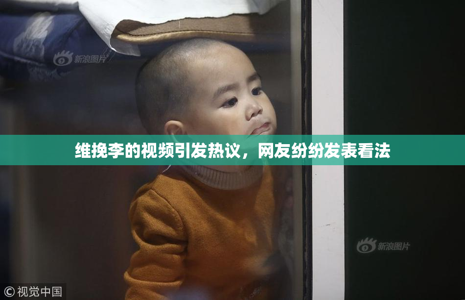 维挽李的视频引发热议，网友纷纷发表看法