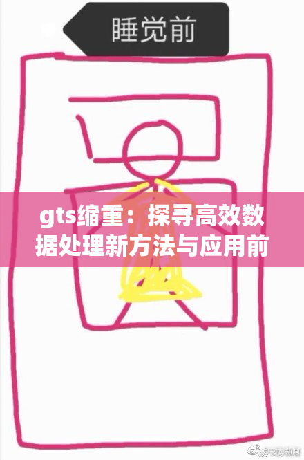 gts缩重：探寻高效数据处理新方法与应用前景