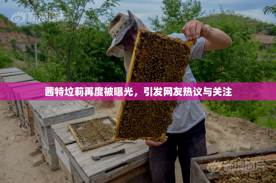 茜特垃莉再度被曝光，引发网友热议与关注