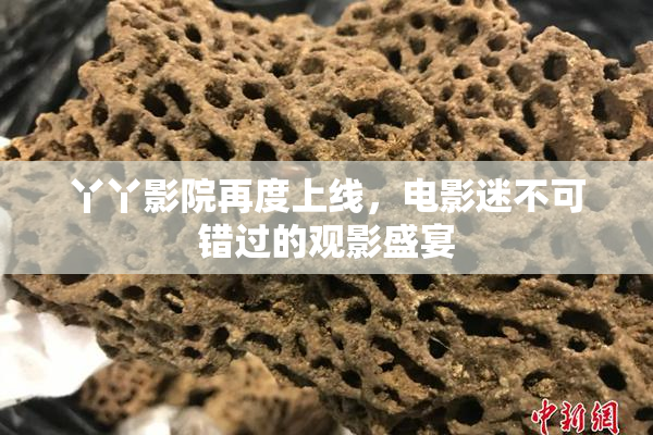 丫丫影院再度上线，电影迷不可错过的观影盛宴