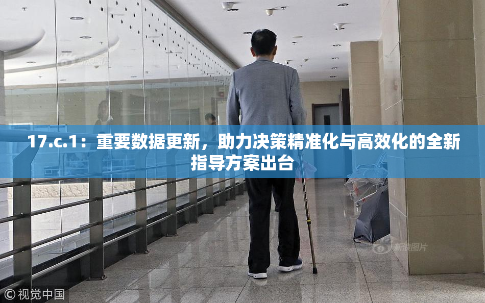 17.c.1：重要数据更新，助力决策精准化与高效化的全新指导方案出台