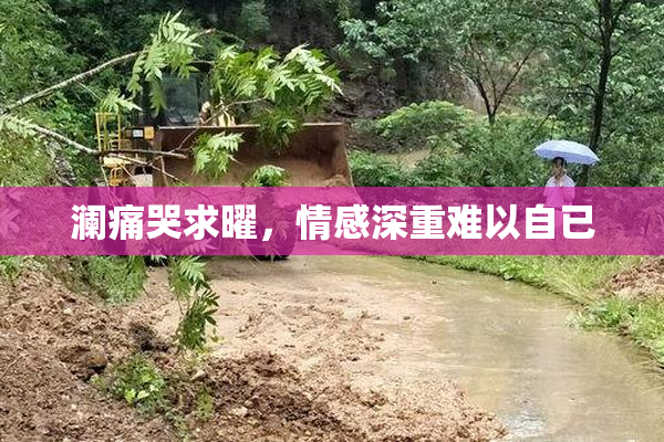 澜痛哭求曜，情感深重难以自已