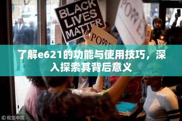 了解e621的功能与使用技巧，深入探索其背后意义