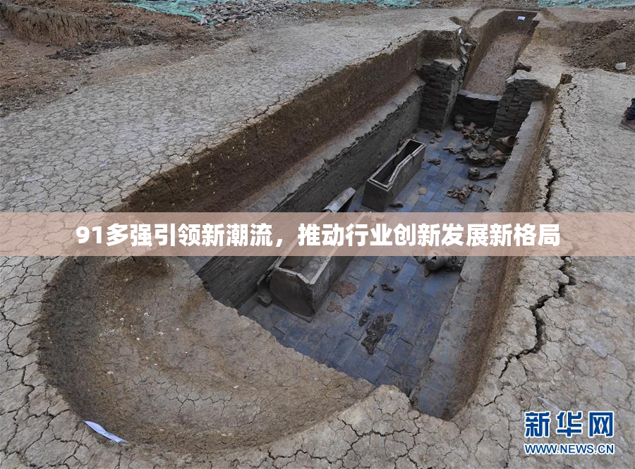 91多强引领新潮流，推动行业创新发展新格局