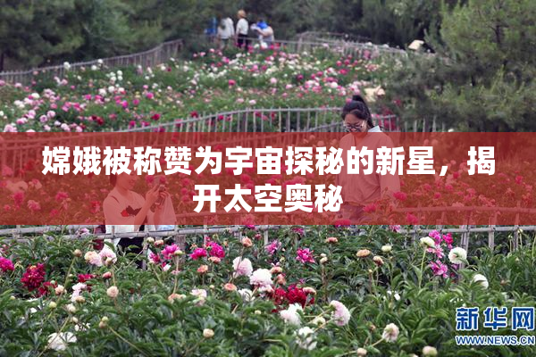 嫦娥被称赞为宇宙探秘的新星，揭开太空奥秘