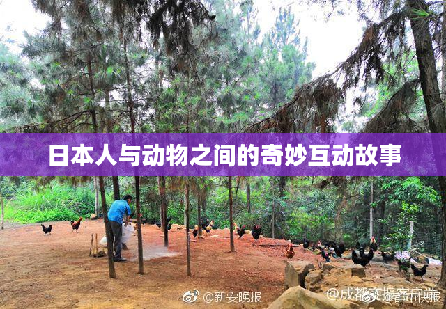 日本人与动物之间的奇妙互动故事