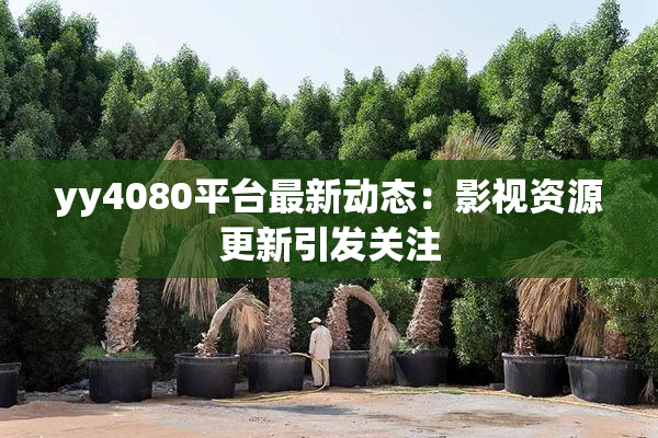 yy4080平台最新动态：影视资源更新引发关注