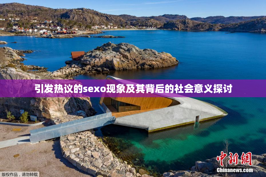 引发热议的sexo现象及其背后的社会意义探讨