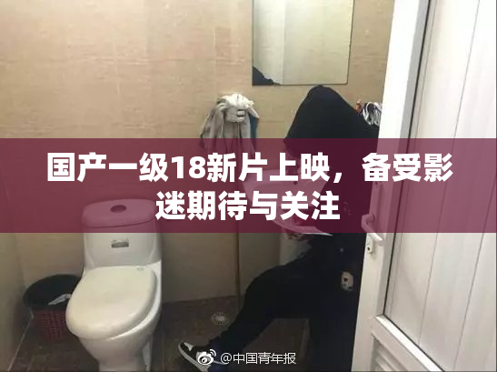 国产一级18新片上映，备受影迷期待与关注