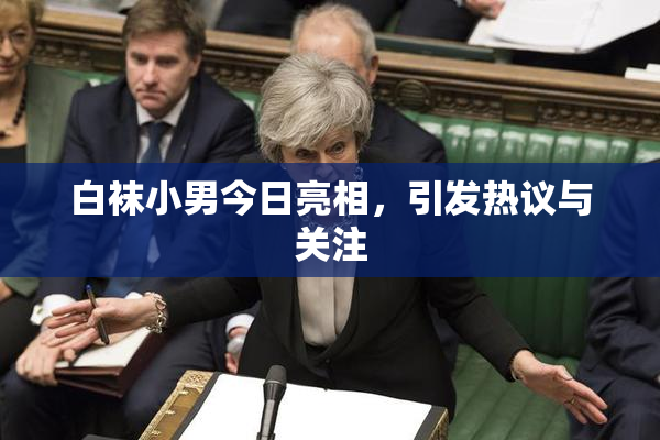 白袜小男今日亮相，引发热议与关注