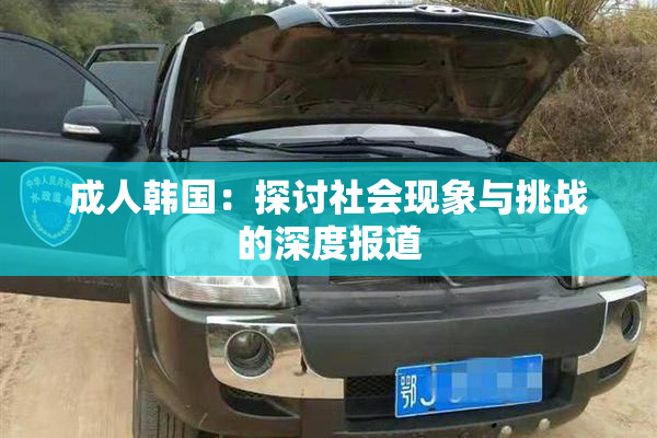 成人韩国：探讨社会现象与挑战的深度报道